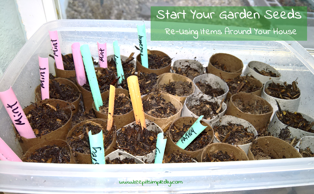 Start Garden Seeds Featured
