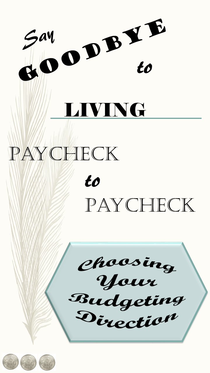 Choosing your Budgeting Direction