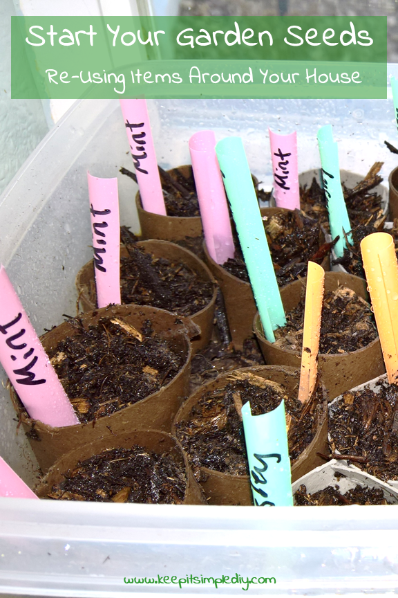 Start your garden seeds re-using items around your house