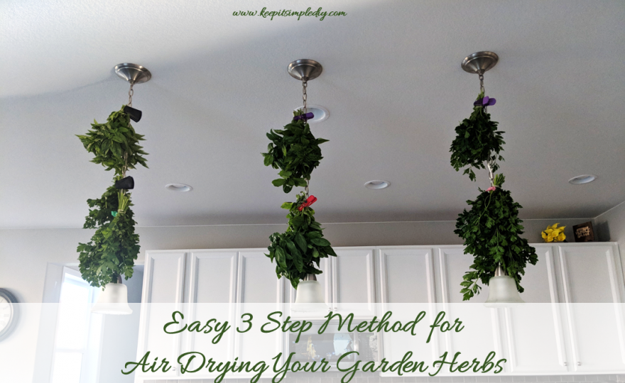 Drying-Garden-Herbs