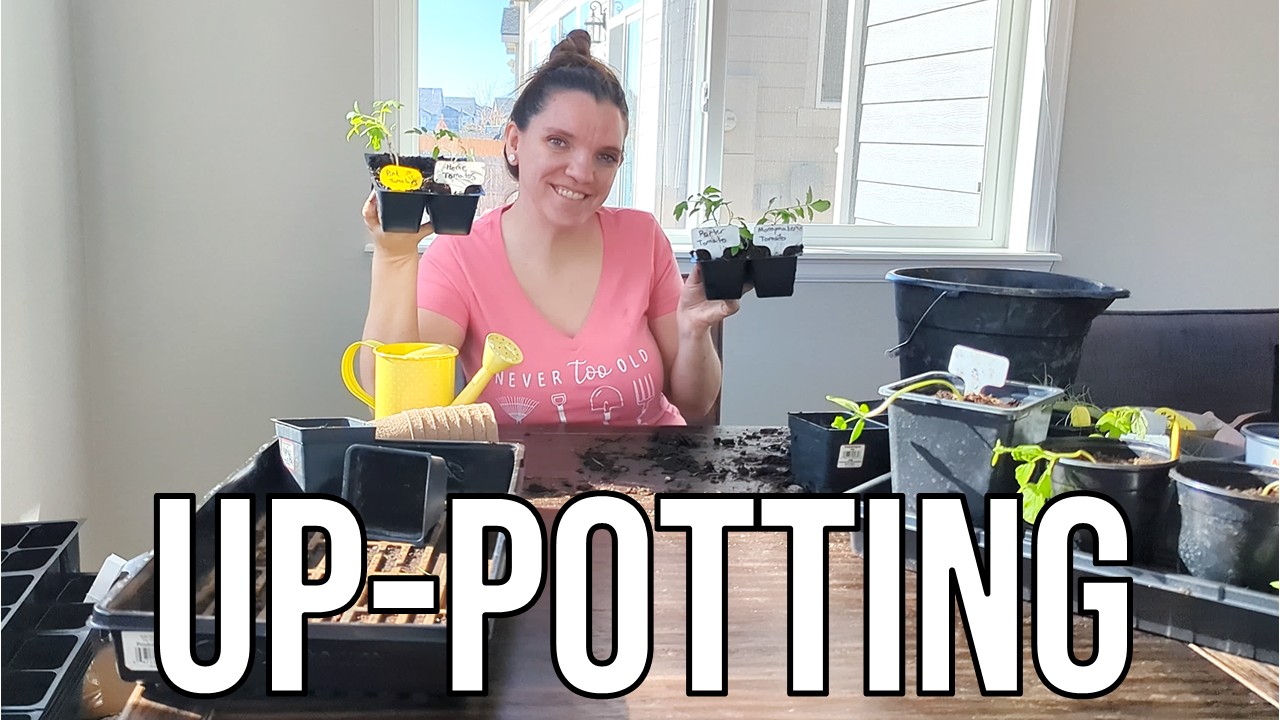 Uppotting My Plants - Garden With Me